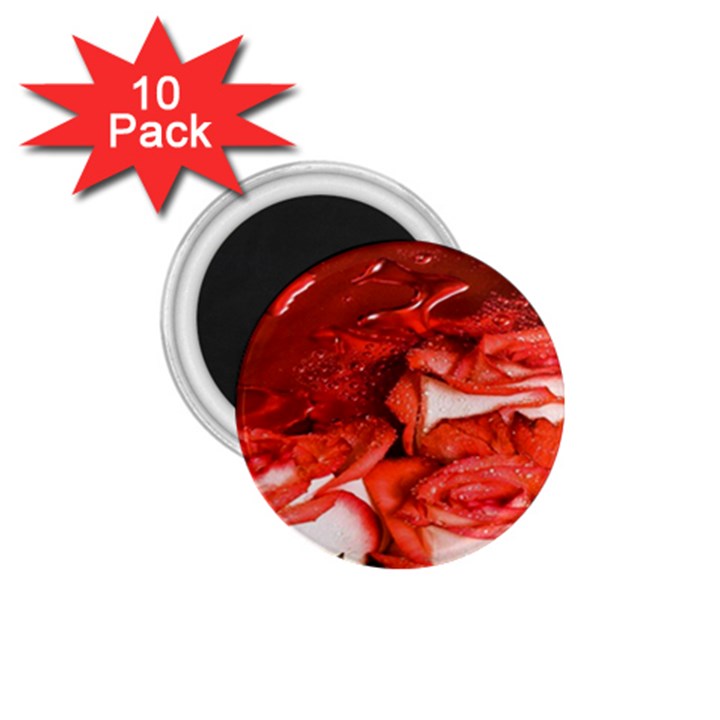 Nice Rose With Water 1.75  Magnets (10 pack) 