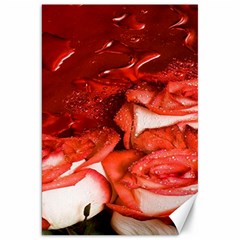 Nice Rose With Water Canvas 20  X 30   by BangZart