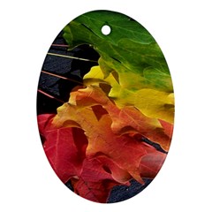 Green Yellow Red Maple Leaf Ornament (oval) by BangZart