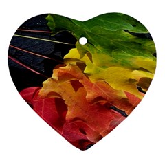 Green Yellow Red Maple Leaf Ornament (heart) by BangZart