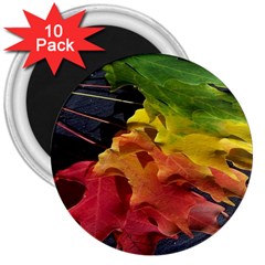 Green Yellow Red Maple Leaf 3  Magnets (10 Pack)  by BangZart