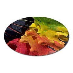 Green Yellow Red Maple Leaf Oval Magnet by BangZart