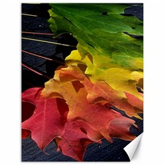 Green Yellow Red Maple Leaf Canvas 18  X 24   by BangZart