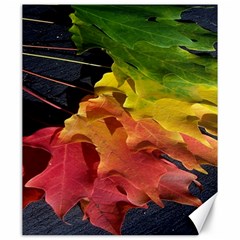 Green Yellow Red Maple Leaf Canvas 20  X 24   by BangZart