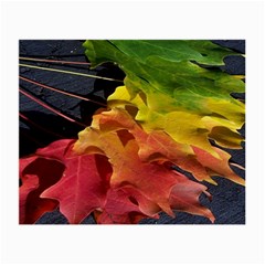 Green Yellow Red Maple Leaf Small Glasses Cloth (2-side) by BangZart