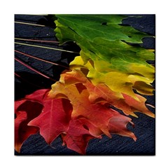 Green Yellow Red Maple Leaf Face Towel by BangZart