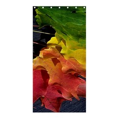 Green Yellow Red Maple Leaf Shower Curtain 36  X 72  (stall)  by BangZart