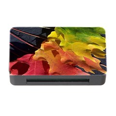 Green Yellow Red Maple Leaf Memory Card Reader With Cf by BangZart