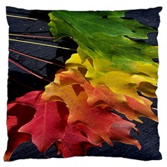 Green Yellow Red Maple Leaf Standard Flano Cushion Case (two Sides) by BangZart