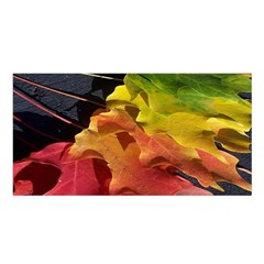 Green Yellow Red Maple Leaf Satin Shawl by BangZart