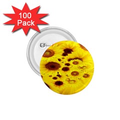 Beautiful Sunflowers 1 75  Buttons (100 Pack) 