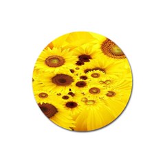 Beautiful Sunflowers Magnet 3  (round) by BangZart