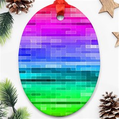 Pretty Color Oval Ornament (two Sides) by BangZart