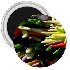 Bright Peppers 3  Magnets by BangZart