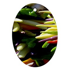 Bright Peppers Oval Ornament (two Sides) by BangZart