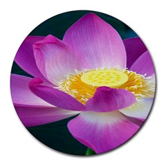 Pink Lotus Flower Round Mousepads by BangZart