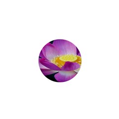 Pink Lotus Flower 1  Mini Magnets by BangZart