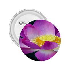 Pink Lotus Flower 2 25  Buttons by BangZart