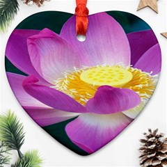 Pink Lotus Flower Ornament (heart) by BangZart