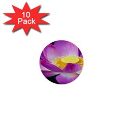 Pink Lotus Flower 1  Mini Buttons (10 Pack)  by BangZart