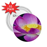 Pink Lotus Flower 2.25  Buttons (10 pack)  Front