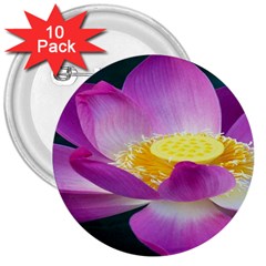 Pink Lotus Flower 3  Buttons (10 Pack)  by BangZart