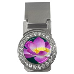 Pink Lotus Flower Money Clips (cz)  by BangZart