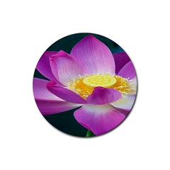 Pink Lotus Flower Rubber Coaster (round)  by BangZart