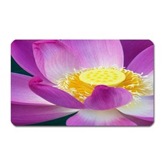 Pink Lotus Flower Magnet (rectangular) by BangZart