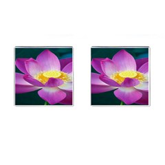 Pink Lotus Flower Cufflinks (square) by BangZart