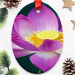 Pink Lotus Flower Oval Ornament (Two Sides) Front