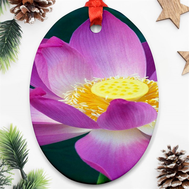 Pink Lotus Flower Oval Ornament (Two Sides)