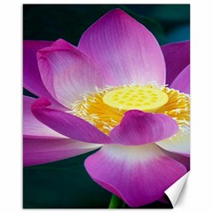 Pink Lotus Flower Canvas 16  X 20   by BangZart