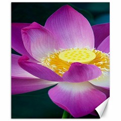 Pink Lotus Flower Canvas 20  X 24   by BangZart