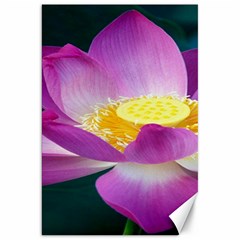 Pink Lotus Flower Canvas 20  X 30   by BangZart