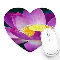 Pink Lotus Flower Heart Mousepads by BangZart