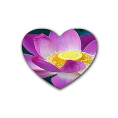 Pink Lotus Flower Rubber Coaster (heart)  by BangZart