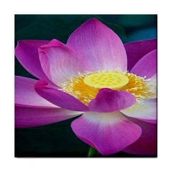 Pink Lotus Flower Face Towel by BangZart