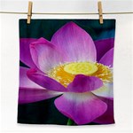 Pink Lotus Flower Face Towel Front