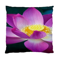 Pink Lotus Flower Standard Cushion Case (one Side) by BangZart