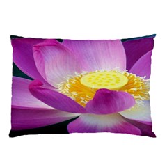 Pink Lotus Flower Pillow Case by BangZart