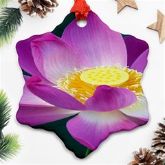 Pink Lotus Flower Snowflake Ornament (two Sides) by BangZart