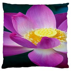 Pink Lotus Flower Large Cushion Case (one Side) by BangZart