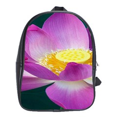 Pink Lotus Flower School Bags (xl)  by BangZart