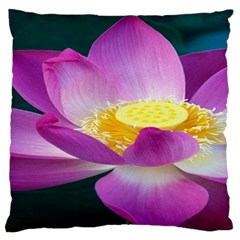 Pink Lotus Flower Standard Flano Cushion Case (one Side) by BangZart