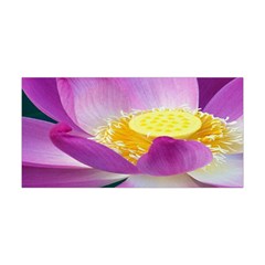 Pink Lotus Flower Yoga Headband by BangZart