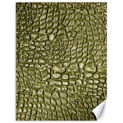 Aligator Skin Canvas 18  X 24   by BangZart