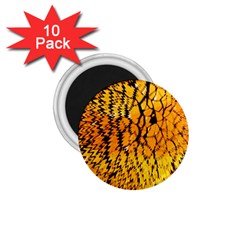 Yellow Chevron Zigzag Pattern 1 75  Magnets (10 Pack) 