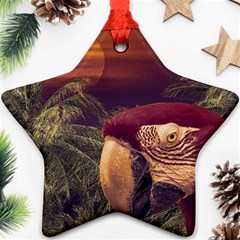 Tropical Style Collage Design Poster Ornament (star) by dflcprints