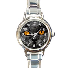 Cat Eyes Background Image Hypnosis Round Italian Charm Watch by BangZart